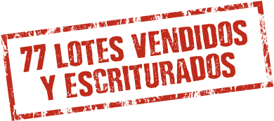 77 lotes vendidos y escriturados